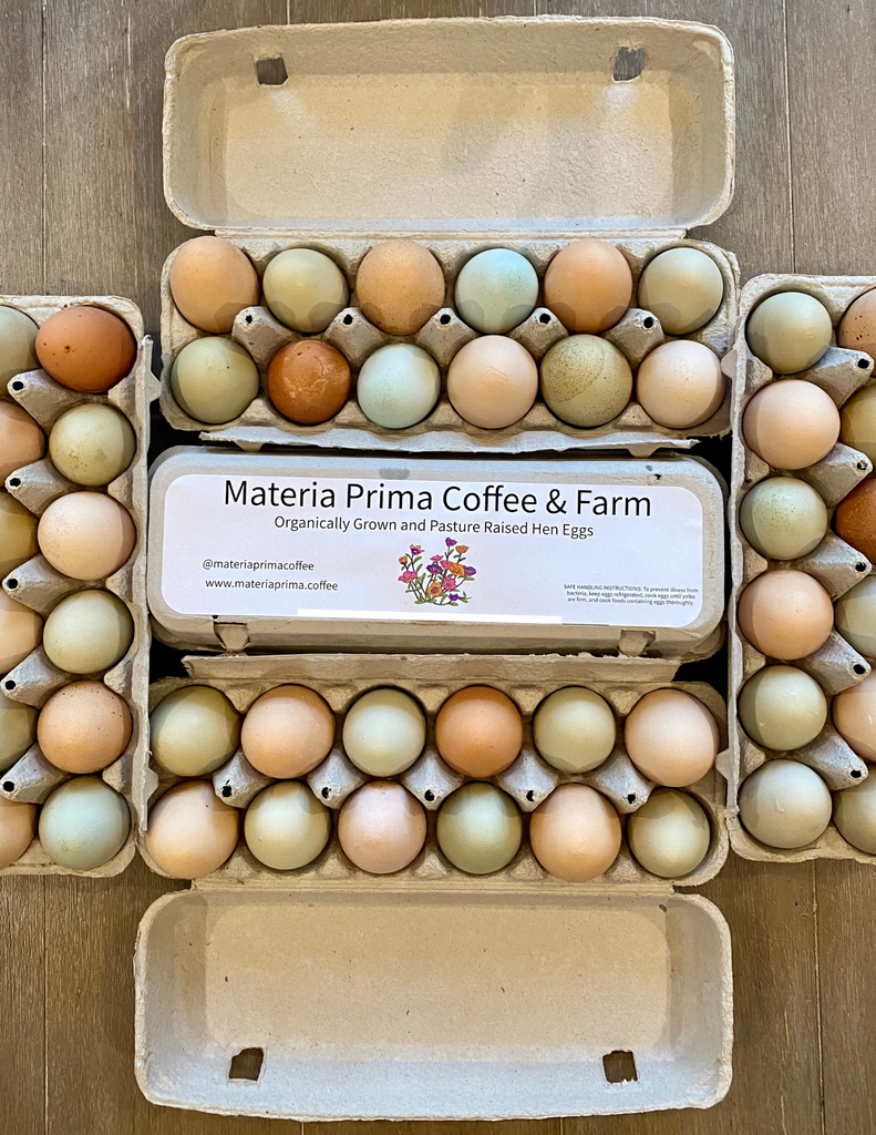 Organic, Pastured Hen Eggs - Chattanooga/NW Georgia Pick Up