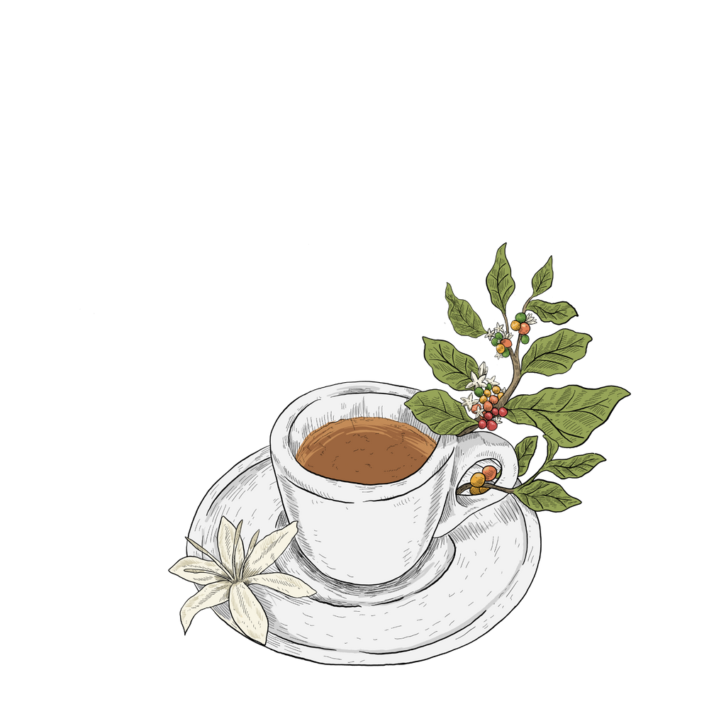 illustration of espresso mug